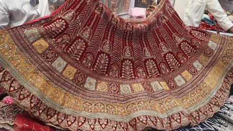 choli collection